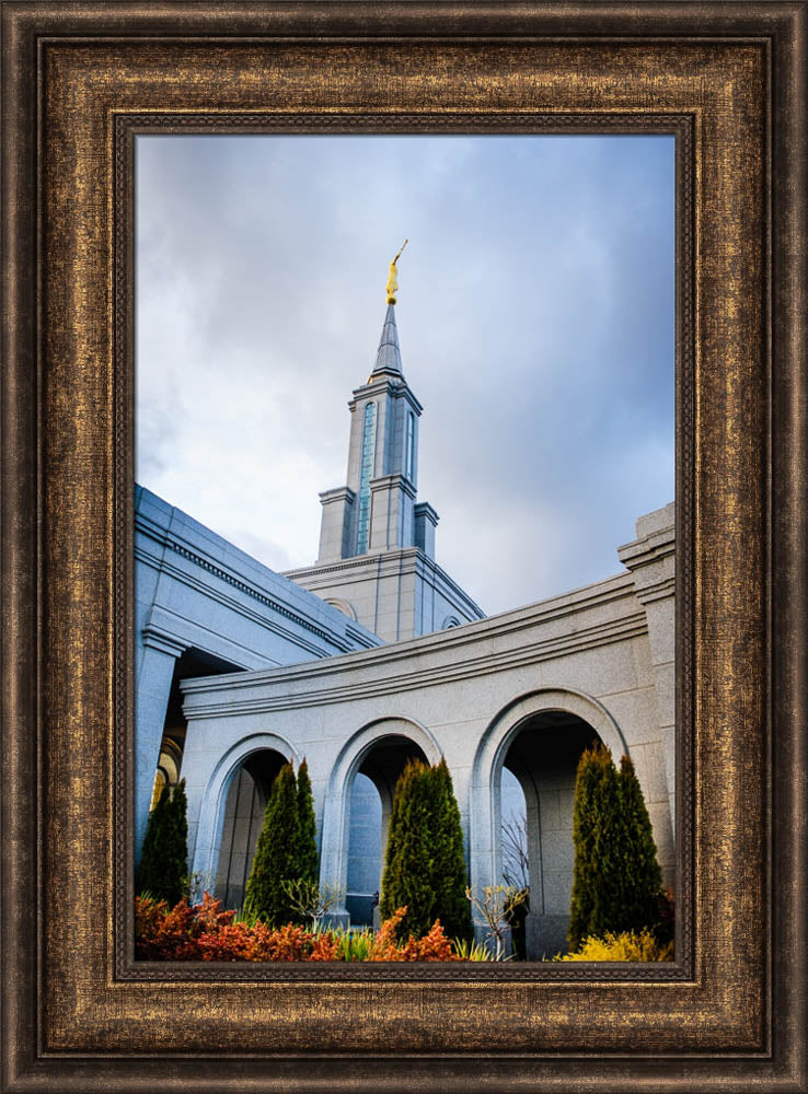 Sacramento Temple - Looking Up by Scott Jarvie