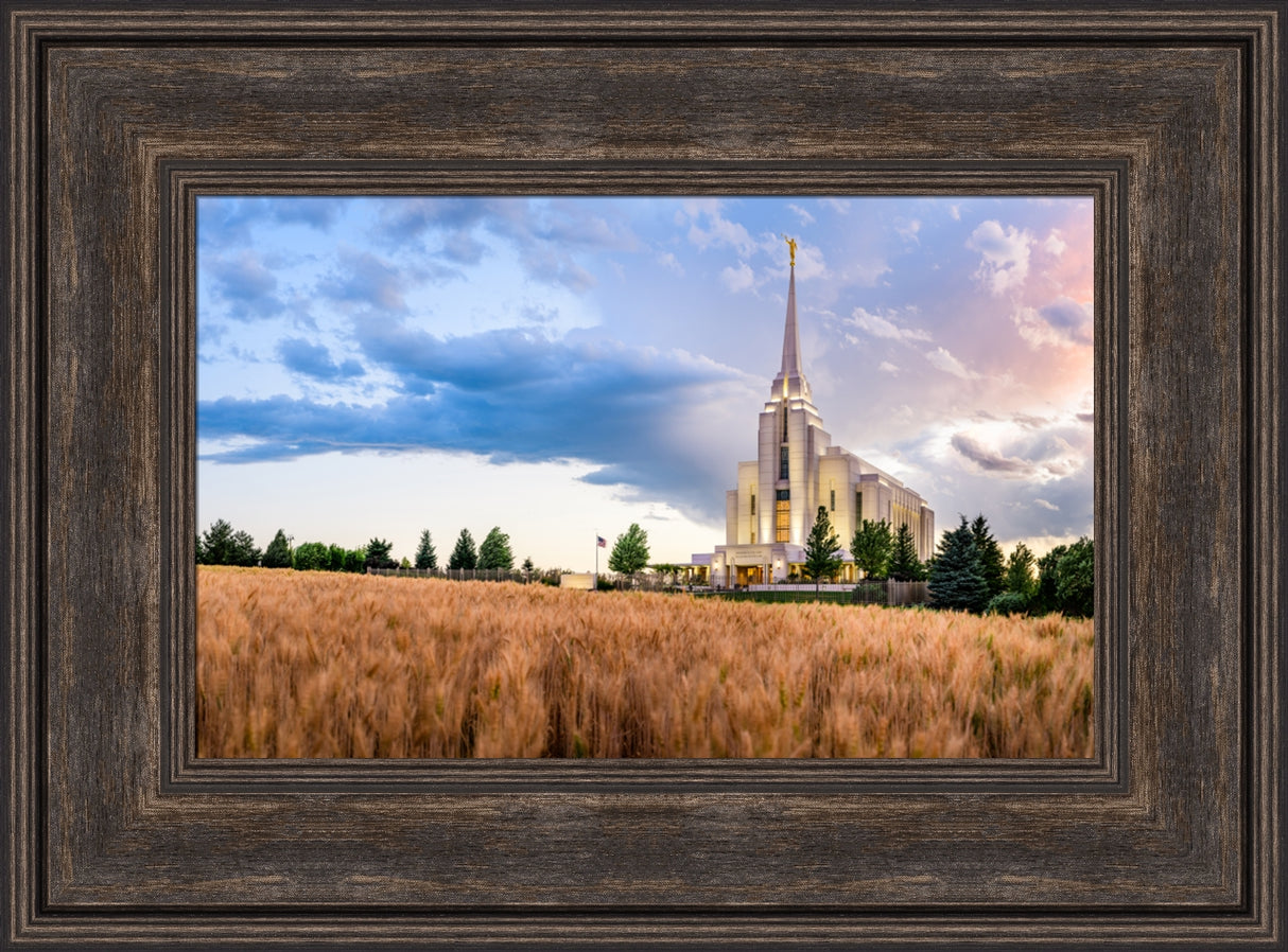 Rexburg Temple - Field Sunset by Scott Jarvie