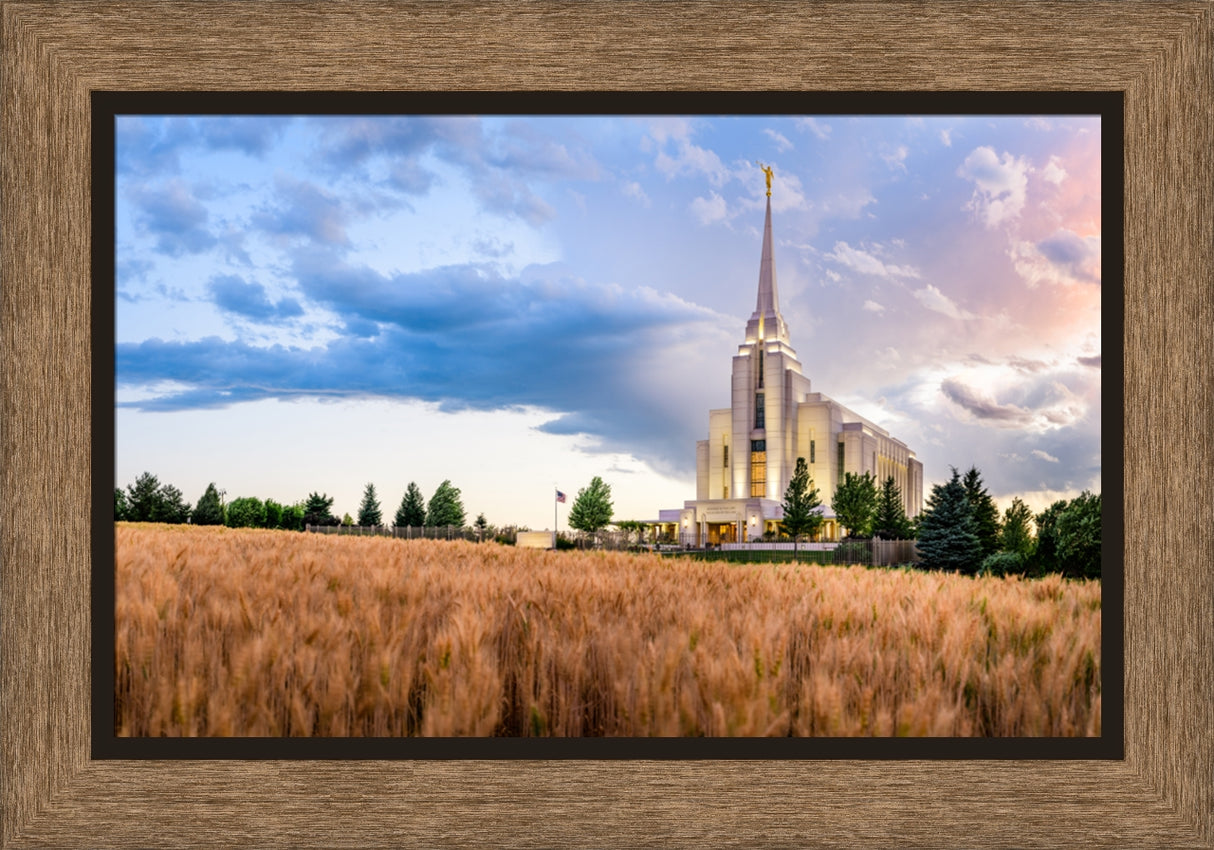 Rexburg Temple - Field Sunset by Scott Jarvie