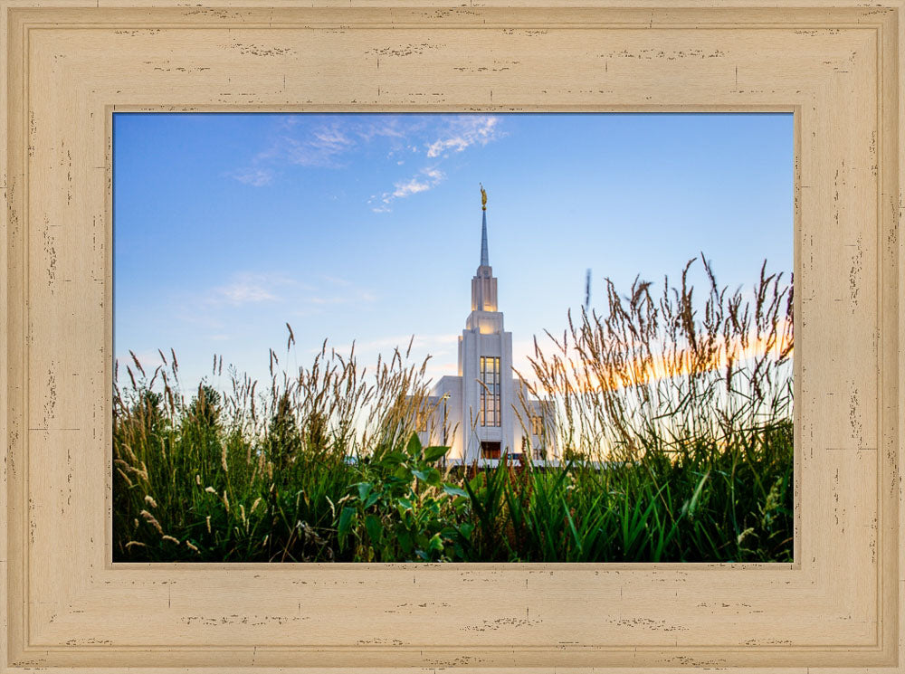 Twin Falls Temple - Harvest by Scott Jarvie