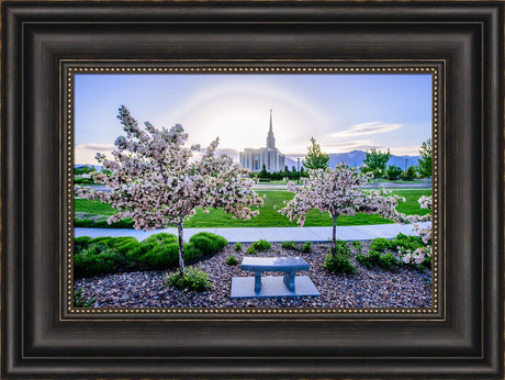 Oquirrh Mountain Temple - Flower Trees and Sun by Scott Jarvie