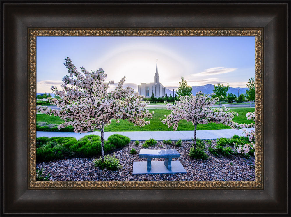 Oquirrh Mountain Temple - Flower Trees and Sun by Scott Jarvie