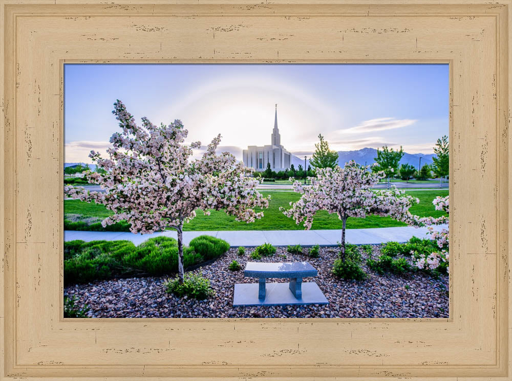 Oquirrh Mountain Temple - Flower Trees and Sun by Scott Jarvie