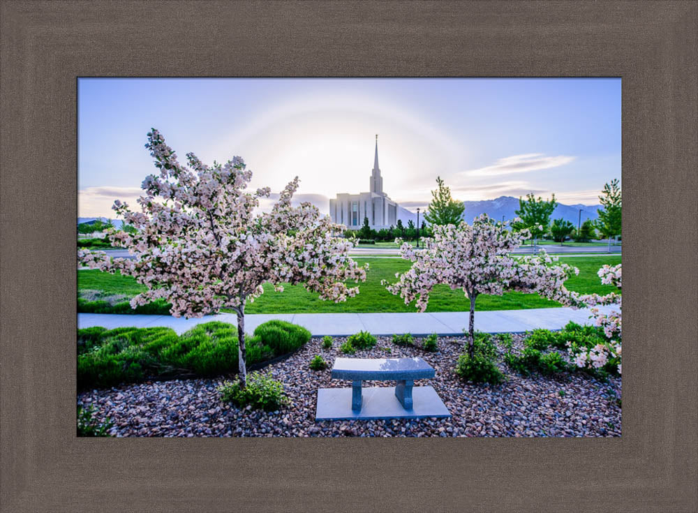 Oquirrh Mountain Temple - Flower Trees and Sun by Scott Jarvie