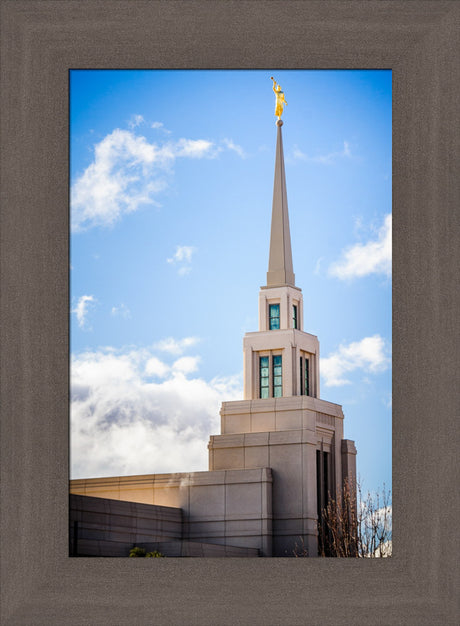 Gila Valley Temple - Spire by Scott Jarvie