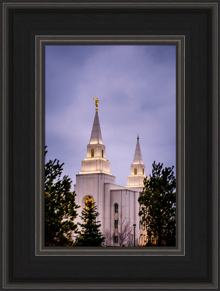 Kansas City Temple - Through the Trees by Scott Jarvie