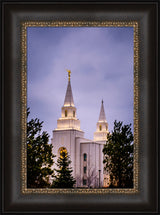 Kansas City Temple - Through the Trees by Scott Jarvie