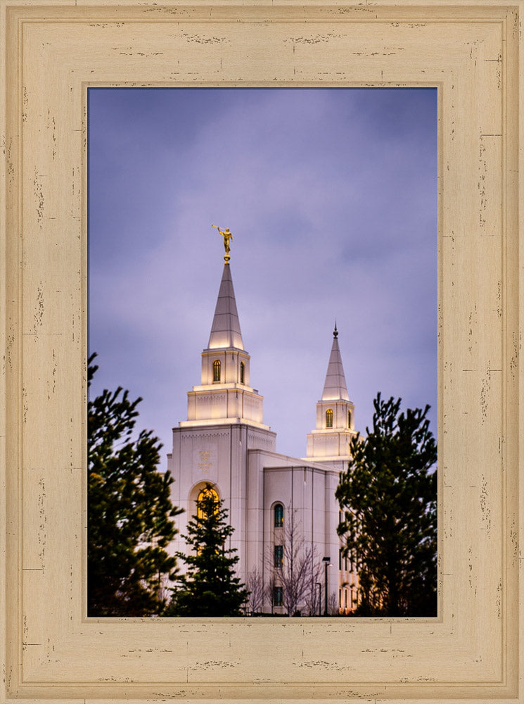 Kansas City Temple - Through the Trees by Scott Jarvie