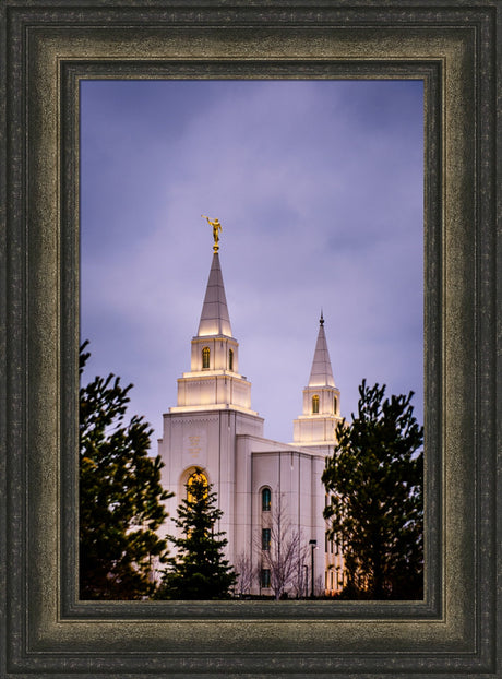 Kansas City Temple - Through the Trees by Scott Jarvie