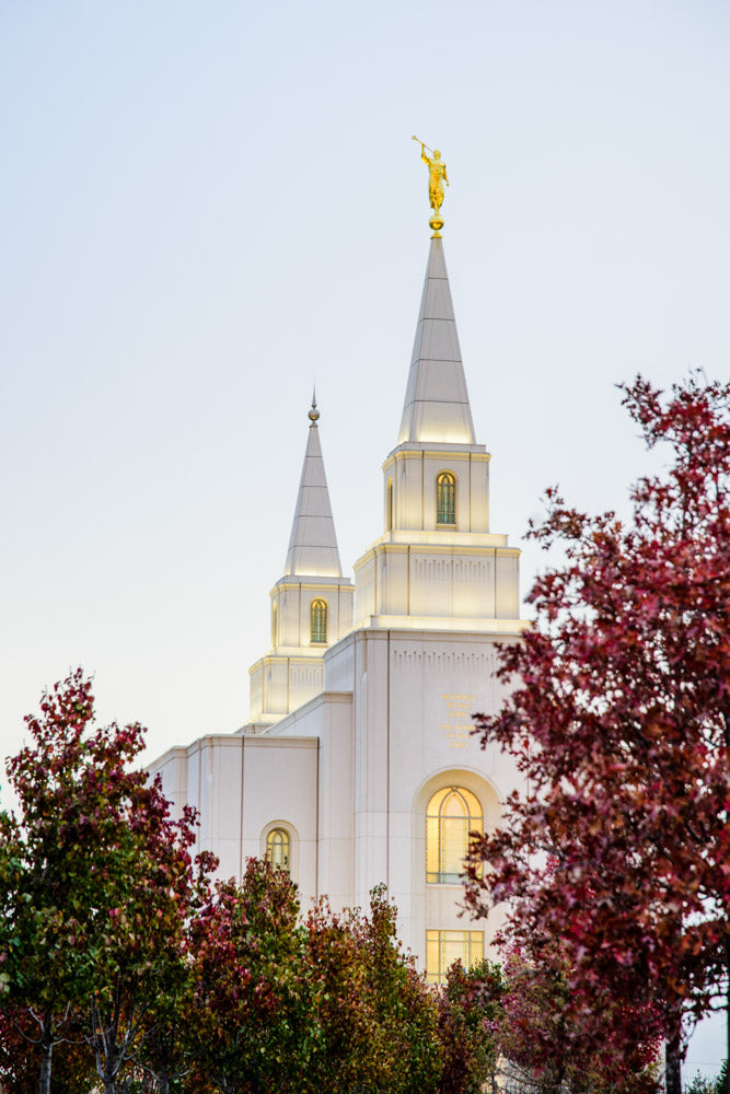 Kansas City Temple - Spires by Scott Jarvie