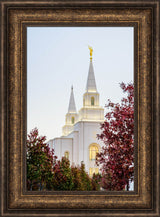 Kansas City Temple - Spires by Scott Jarvie