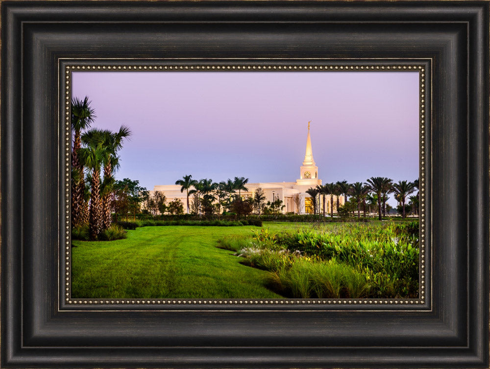 Fort Lauderdale Temple - Palm Trees by Scott Jarvie