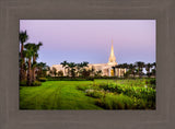 Fort Lauderdale Temple - Palm Trees by Scott Jarvie