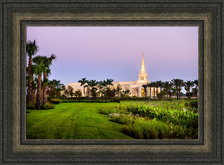 Fort Lauderdale Temple - Palm Trees by Scott Jarvie