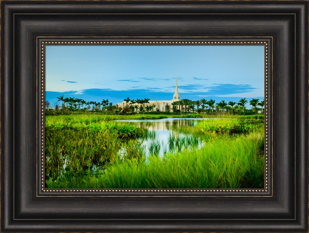 Fort Lauderdale Temple - Green Swamp by Scott Jarvie