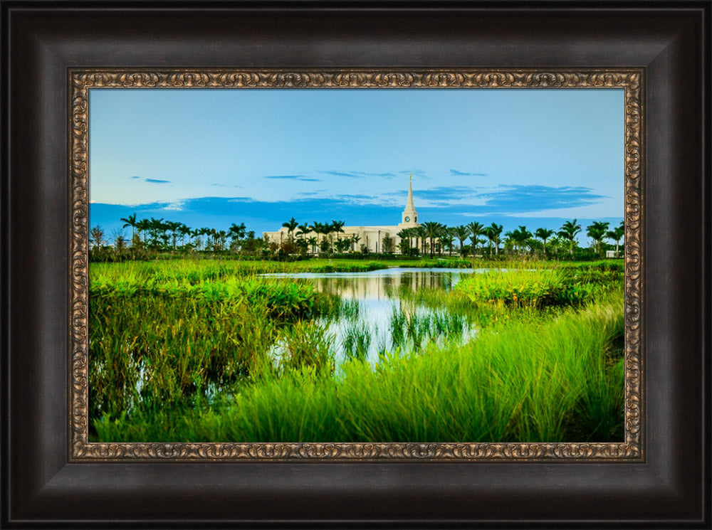 Fort Lauderdale Temple - Green Swamp by Scott Jarvie