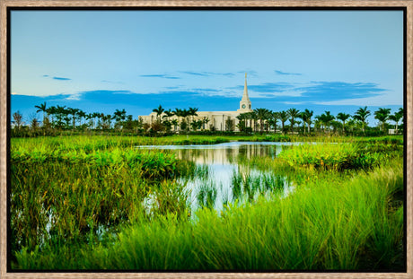 Fort Lauderdale Temple - Green Swamp by Scott Jarvie