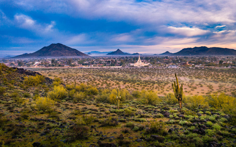 Phoenix Temple - Desert View by Scott Jarvie