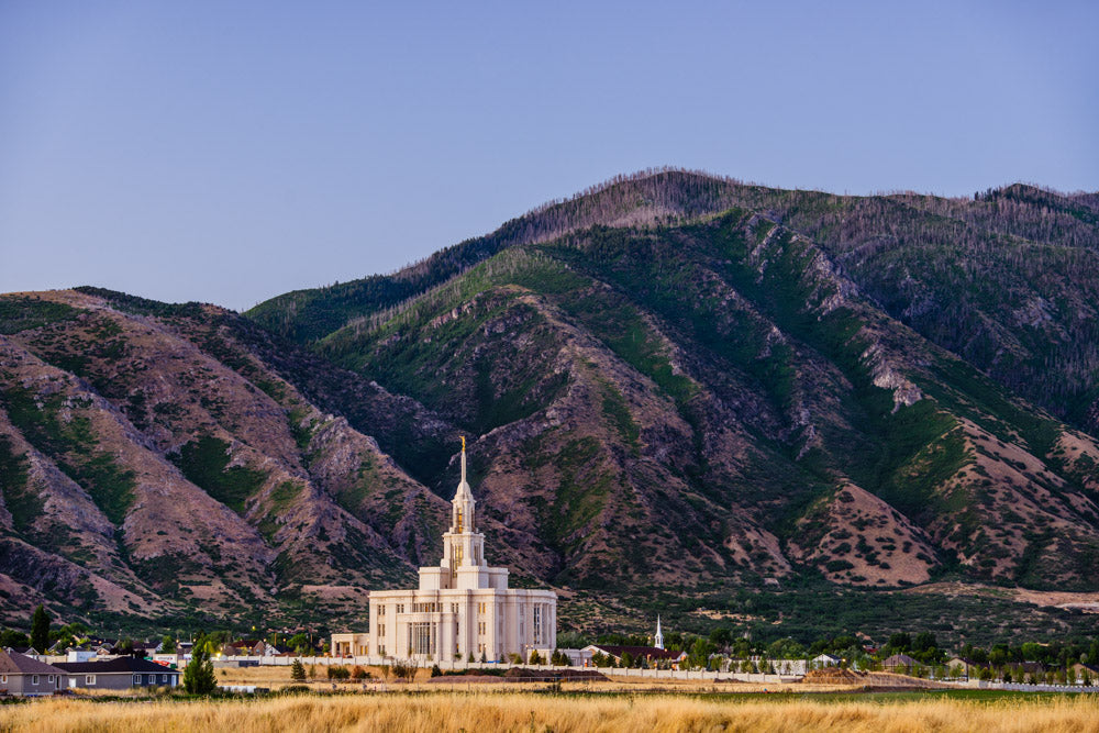 Payson Temple - Mountain View by Scott Jarvie