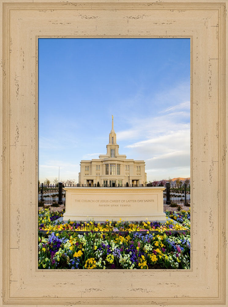 Payson Temple - Signs and Flowers by Scott Jarvie