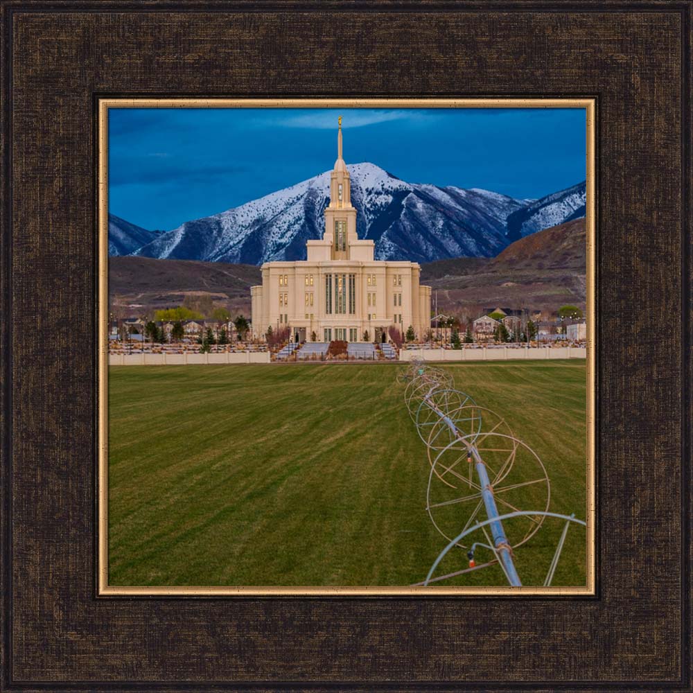 Payson Temple - The Farmers Temple by Scott Jarvie