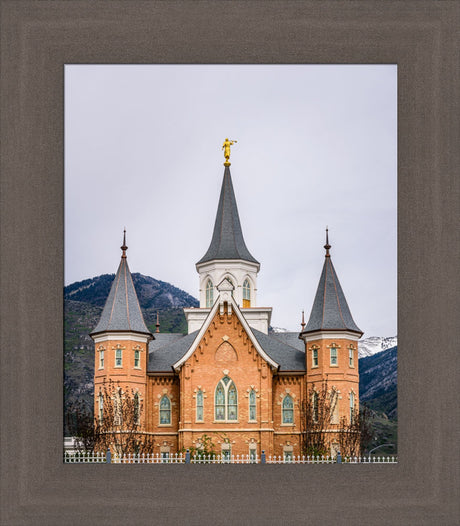 Provo City Center Temple - Spires by Scott Jarvie