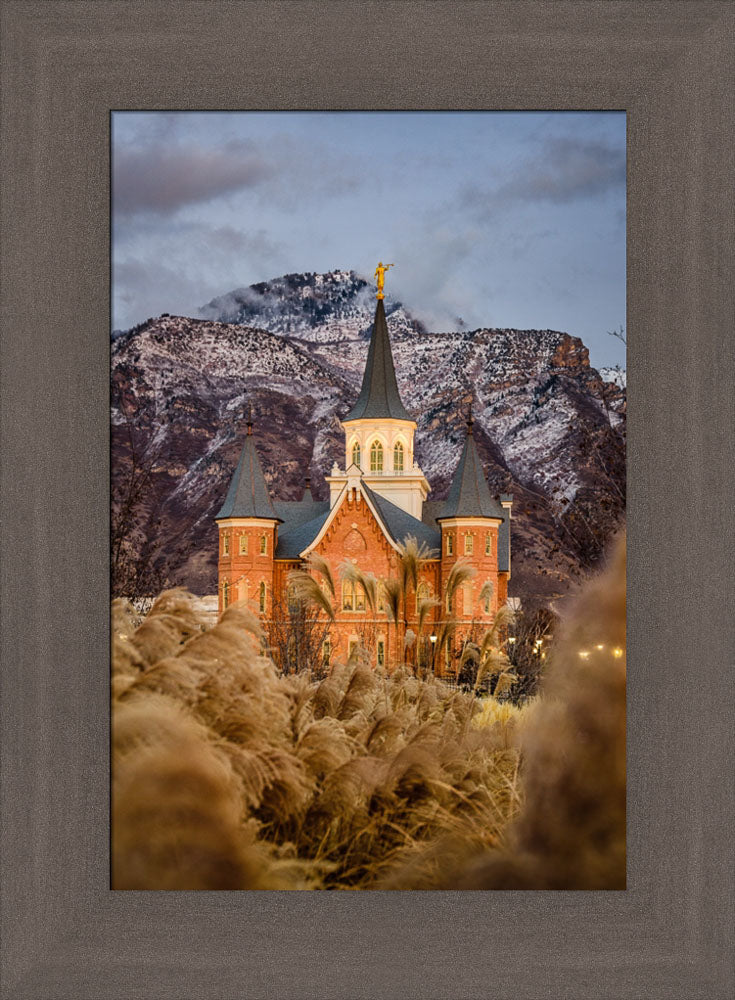 Provo City Center Temple - Fall Reeds by Scott Jarvie