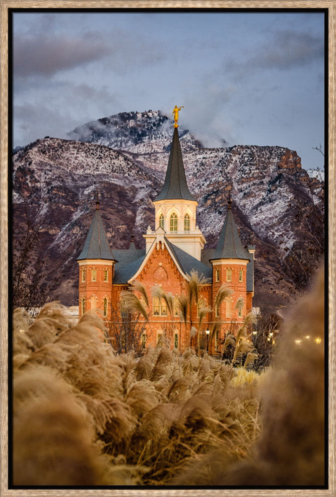 Provo City Center Temple - Fall Reeds by Scott Jarvie