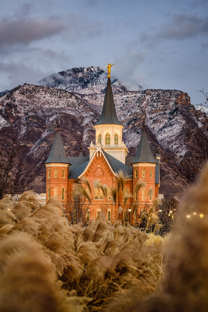 Provo City Center Temple - Fall Reeds by Scott Jarvie