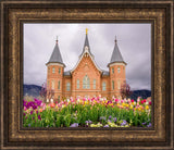 Provo City Center Temple - Springtime Tulips by Scott Jarvie