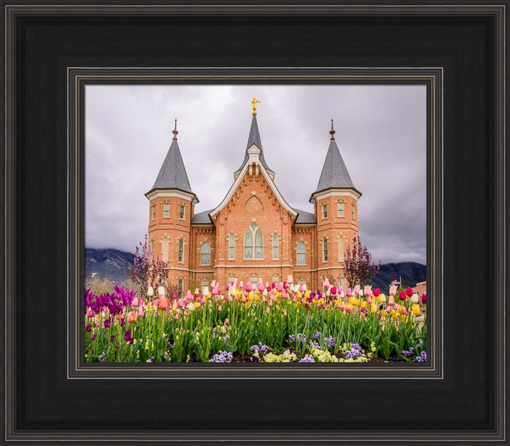 Provo City Center Temple - Springtime Tulips by Scott Jarvie