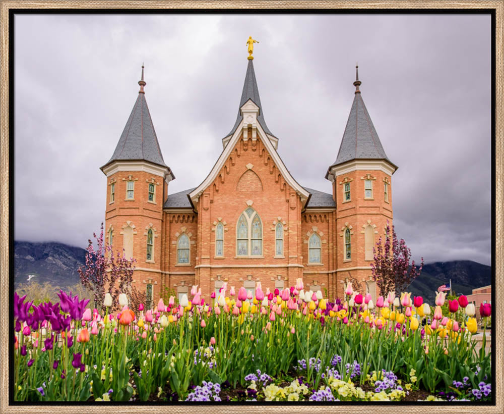 Provo City Center Temple - Springtime Tulips by Scott Jarvie