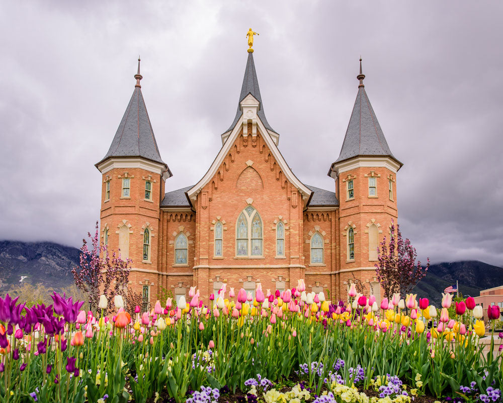 Provo City Center Temple - Springtime Tulips by Scott Jarvie