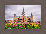 Provo City Center Temple - Springtime Family by Scott Jarvie