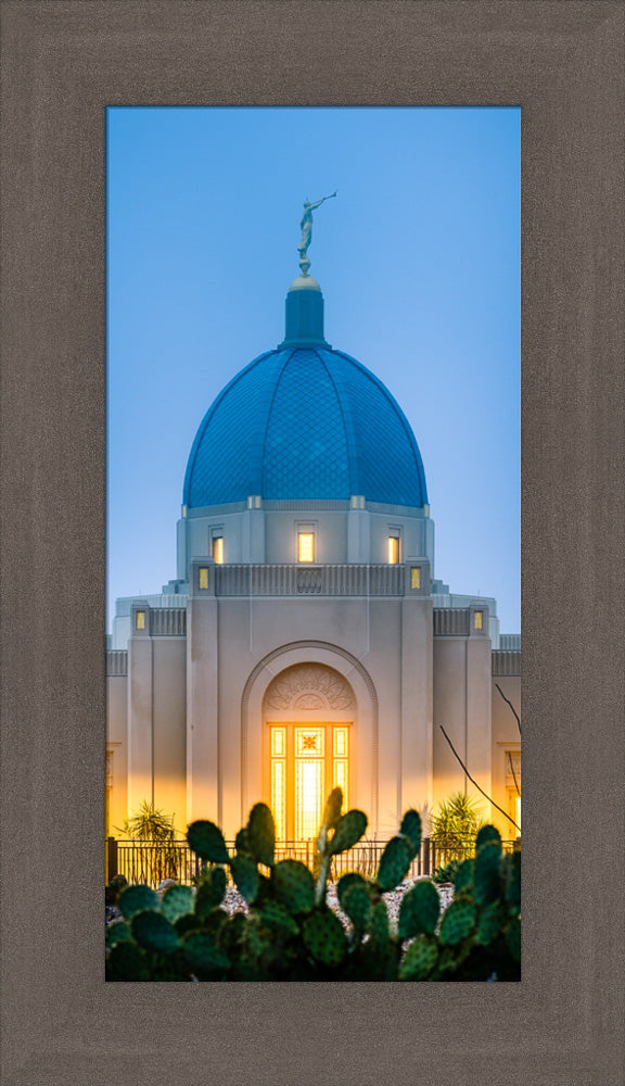 Tucson Temple - Cactus Twilight by Scott Jarvie