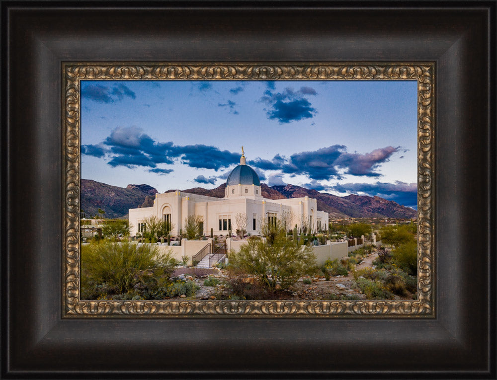 Tucson Temple - Desert Landscape by Scott Jarvie