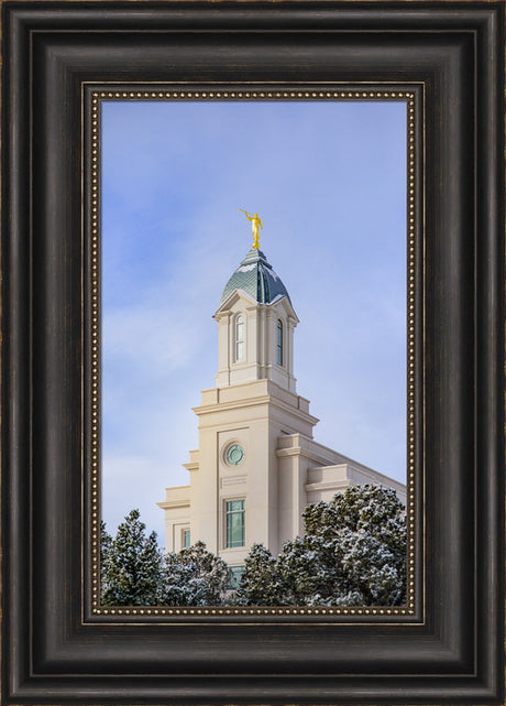 Cedar City Temple - Reaching up by Scott Jarvie