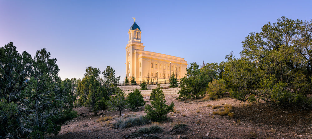 Cedar City Temple - In the Cedars by Scott Jarvie