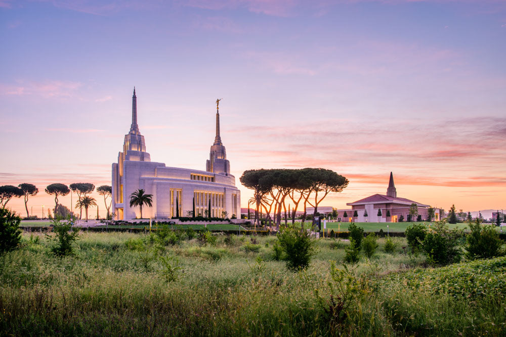 Rome Italy Temple - Field by Scott Jarvie