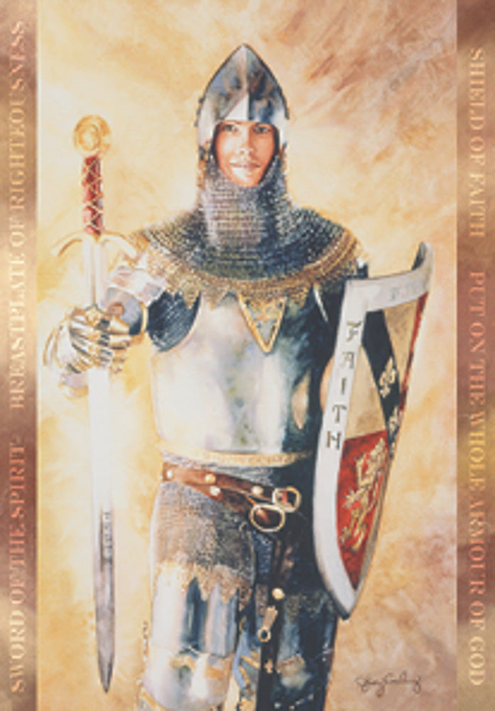 Armour of God minicard
